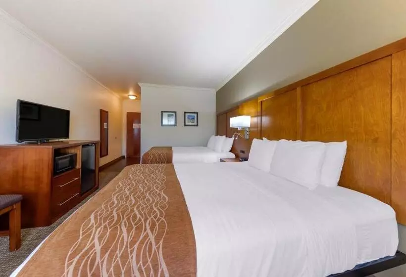 اتاق استاندارد, Comfort Inn Near University
