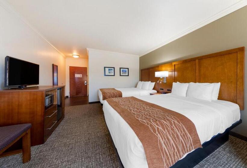 장애인을 위한 스탠다드 룸, Comfort Inn Near University