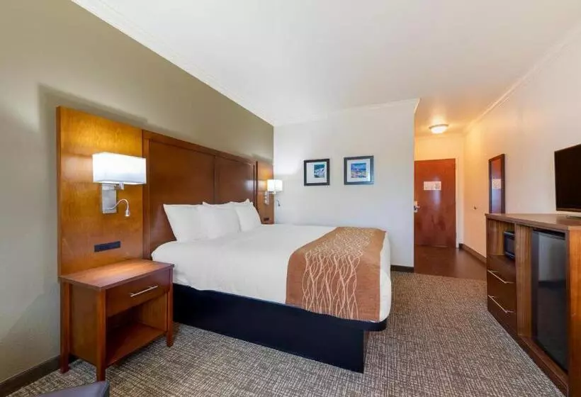 اتاق استاندارد با تخت بزرگ برای معلولان, Comfort Inn Near University