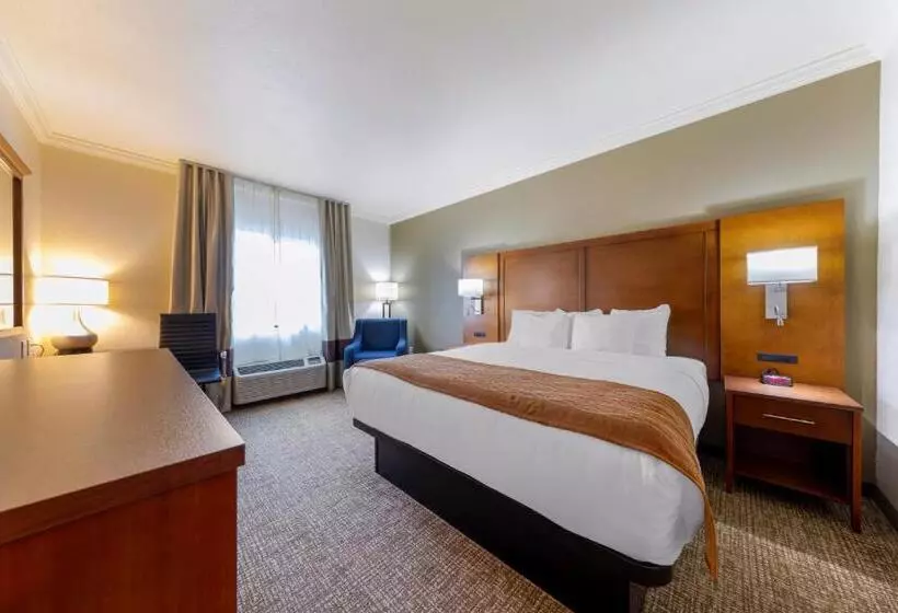 اتاق استاندارد با تخت بزرگ برای معلولان, Comfort Inn Near University