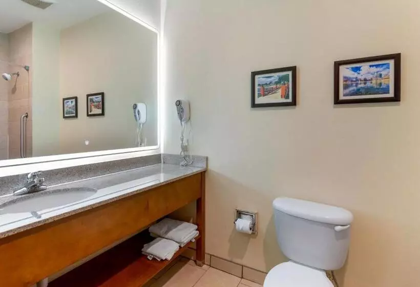 اتاق استاندارد با تخت بزرگ برای معلولان, Comfort Inn Near University