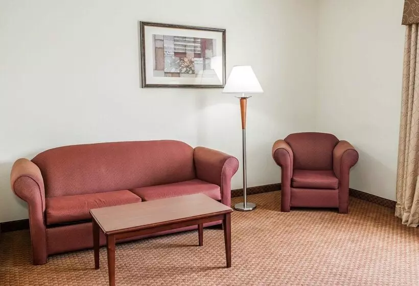 سوییت, Comfort Suites Near Indianapolis Airport