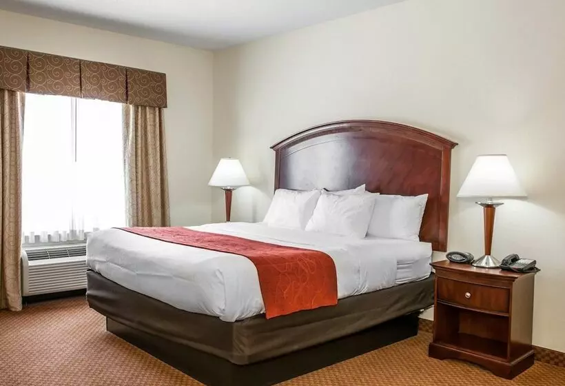 سوییت, Comfort Suites Near Indianapolis Airport