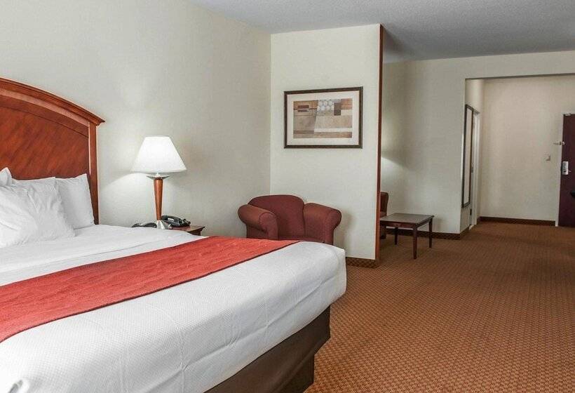 Suite, Comfort Suites Near Indianapolis Airport