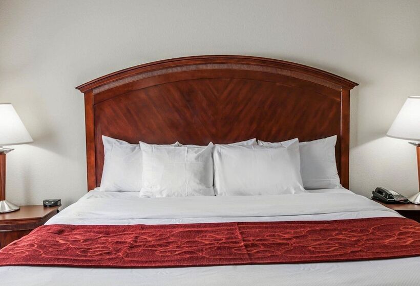 סוויטה, Comfort Suites Near Indianapolis Airport