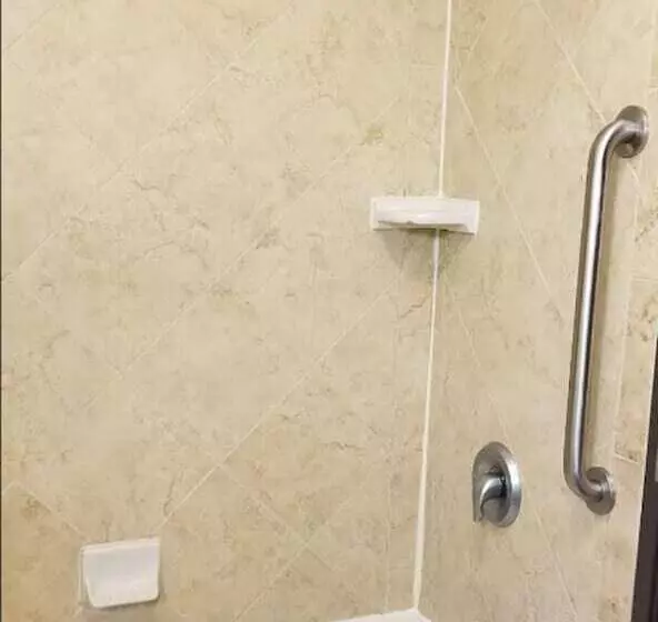 سوییت, Comfort Suites Near Texas A&m   Corpus Christi