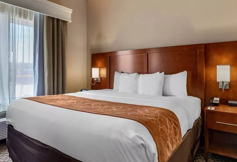 سوییت, Comfort Suites Near Texas A&m   Corpus Christi