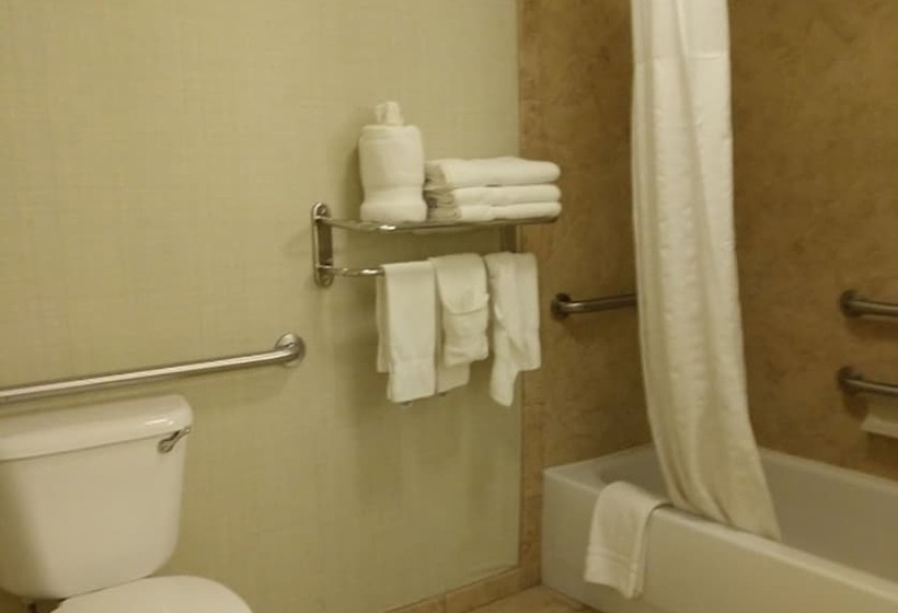 סוויטה מותאמת לאדם עם מוגבלויות, Comfort Suites Near Texas A&m   Corpus Christi