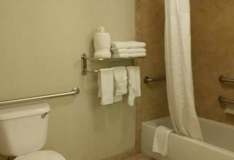 سوئیت برای معلولان, Comfort Suites Near Texas A&m   Corpus Christi
