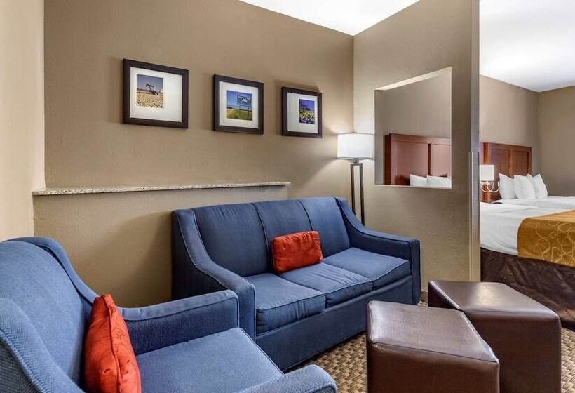 סוויטה מותאמת לאדם עם מוגבלויות, Comfort Suites Near Texas A&m   Corpus Christi
