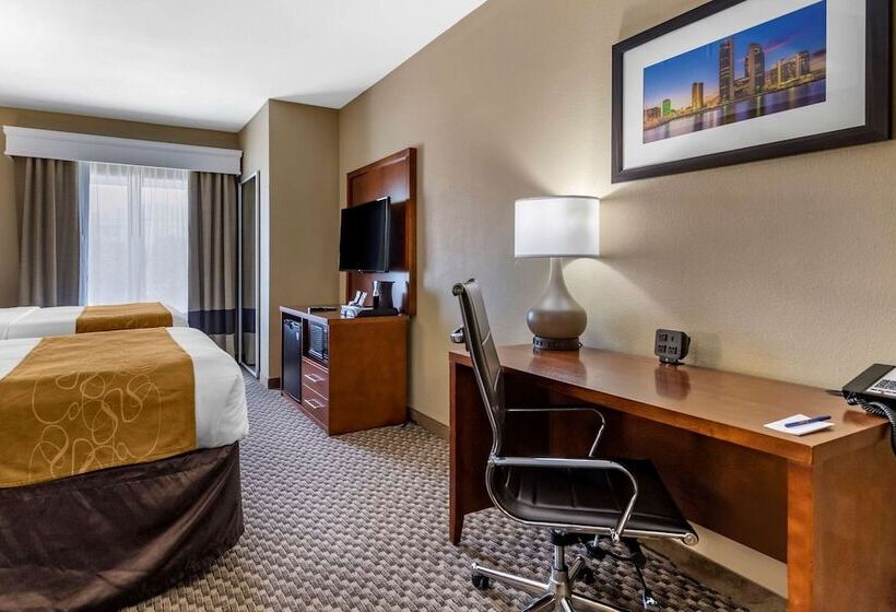 장애인을 위한 스위트, Comfort Suites Near Texas A&m   Corpus Christi