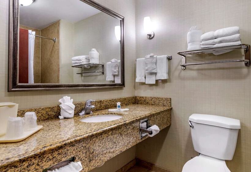 סוויטה, Comfort Suites Near Texas A&m   Corpus Christi