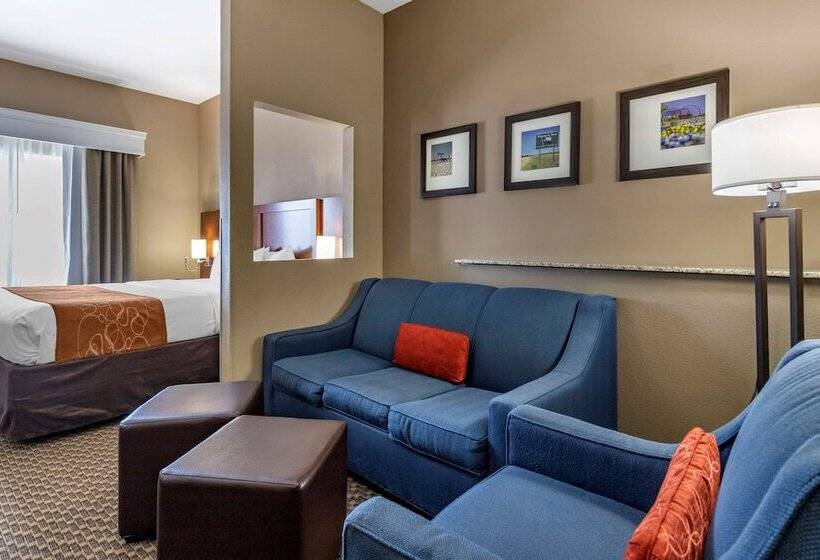 סוויטה מותאמת לאדם עם מוגבלויות, Comfort Suites Near Texas A&m   Corpus Christi