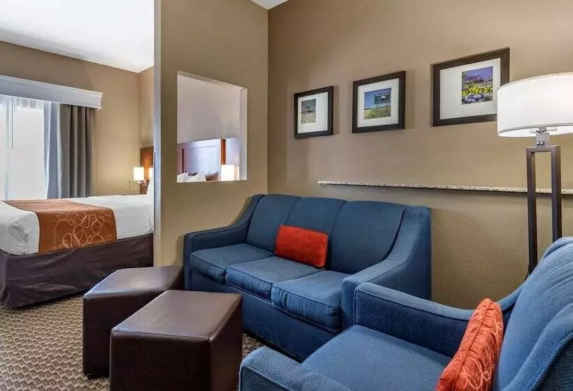 سوئیت برای معلولان, Comfort Suites Near Texas A&m   Corpus Christi