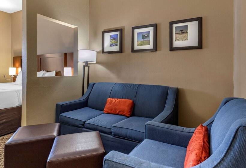 장애인을 위한 스위트, Comfort Suites Near Texas A&m   Corpus Christi