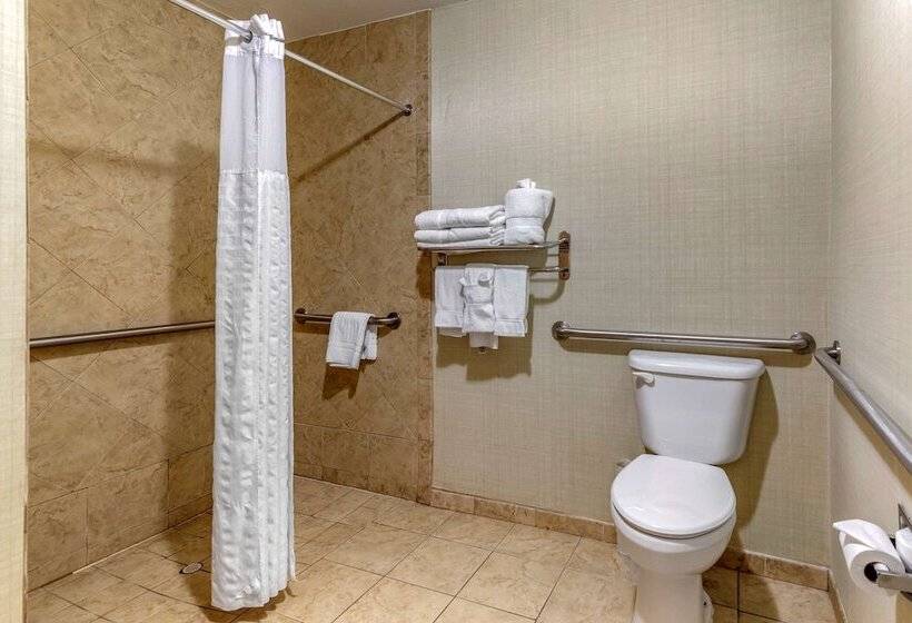 جناح لذوى الاحتياجات الخاصة, Comfort Suites Near Texas A&m   Corpus Christi