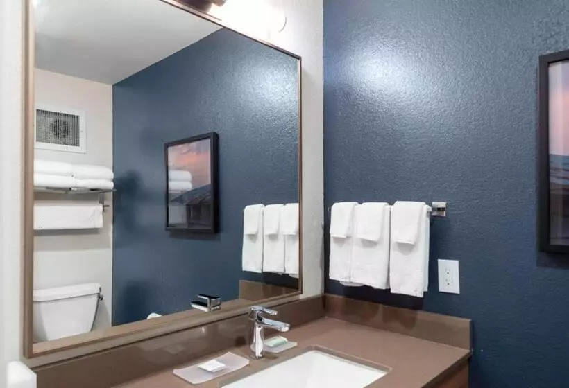 اتاق استاندارد با تخت بزرگ, Fairfield Inn & Suites Rapid City