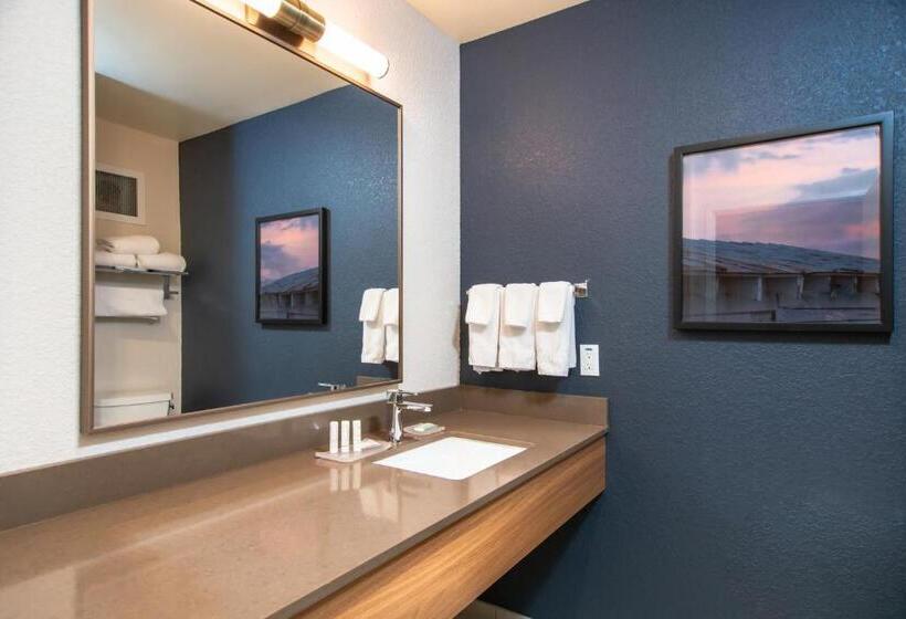 מיטת קינג בסוויטה, Fairfield Inn & Suites Rapid City