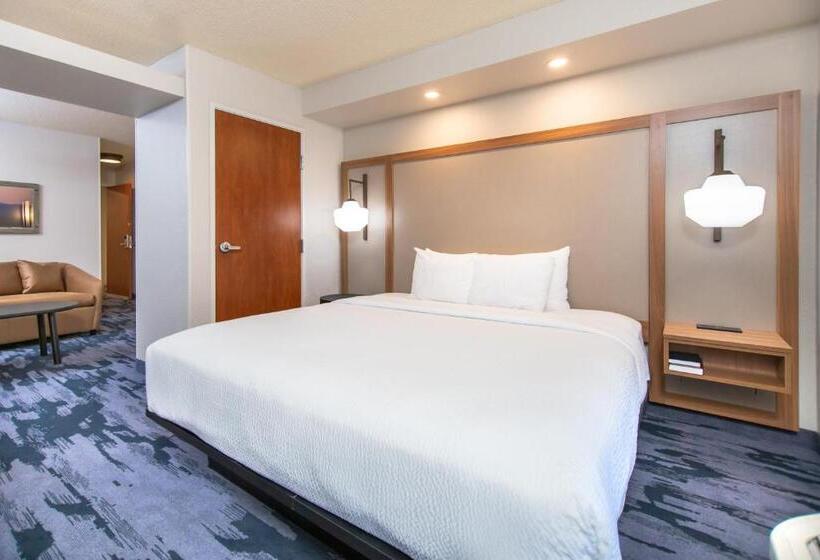 Люкс Кровать Кинг, Fairfield Inn & Suites Rapid City