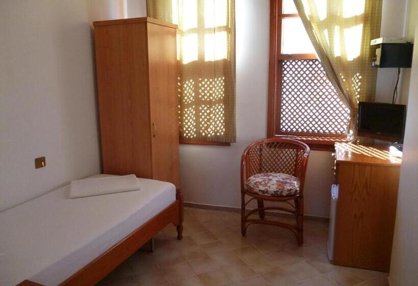 اتاق استاندارد یک نفره, Frankfurt