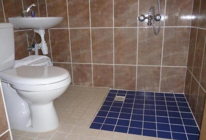 اتاق استاندارد, Frankfurt