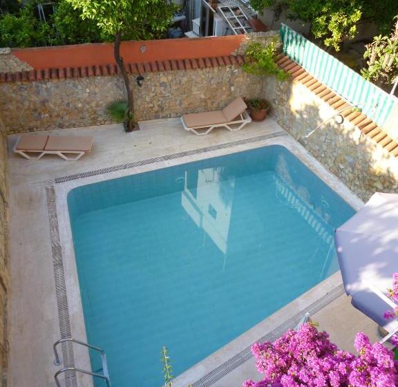 اتاق اکونومی, Frankfurt