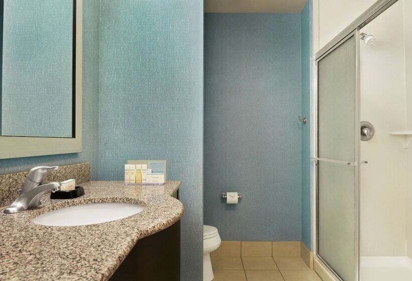 스탠다드 스튜디오 킹침대, Hampton Inn & Suites Grafton