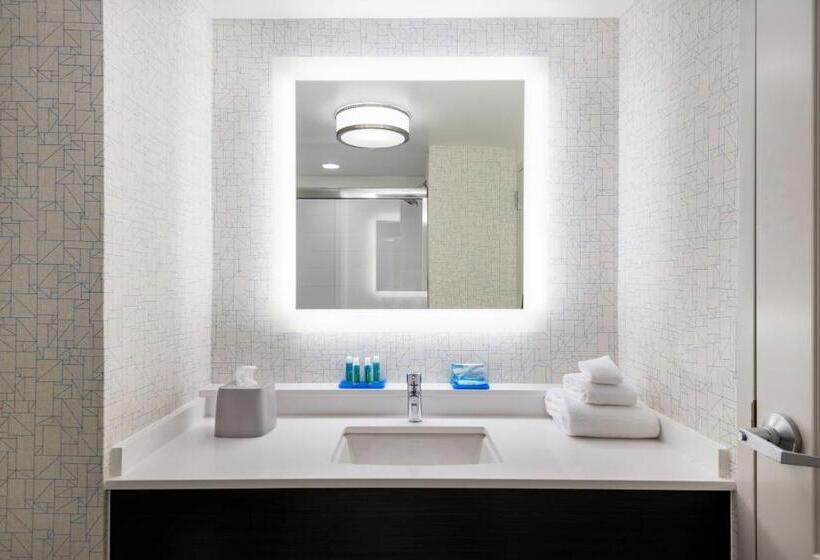 Стандартный Номер Кровать Кинг, Holiday Inn Express & Suites Florence I 95 & I 20 Civic Ctr, An Ihg