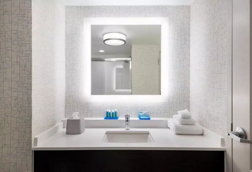 اتاق استاندارد با تخت بزرگ, Holiday Inn Express & Suites Florence I 95 & I 20 Civic Ctr, An Ihg