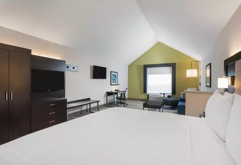 سوئیت اجرایی با تخت کینگ, Holiday Inn Express & Suites Florence I 95 & I 20 Civic Ctr, An Ihg