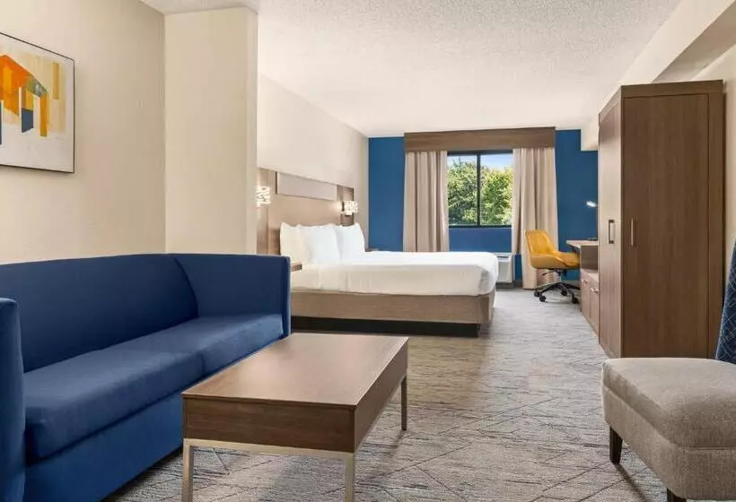 سوئیت با تخت بزرگ, Holiday Inn Express & Suites Greenville Downtown, An Ihg