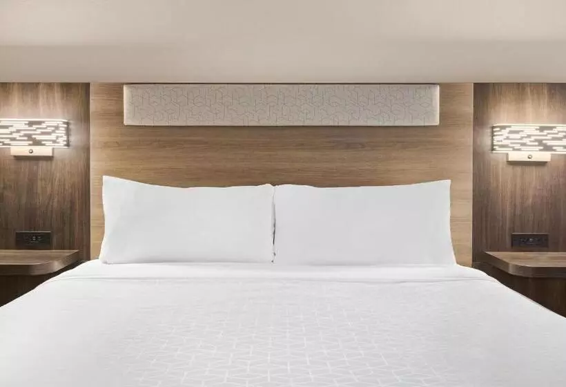 سوئیت با تخت بزرگ, Holiday Inn Express & Suites Greenville Downtown, An Ihg