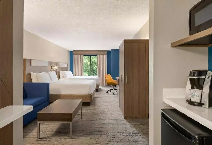 سوئیت برای معلولان, Holiday Inn Express & Suites Greenville Downtown, An Ihg