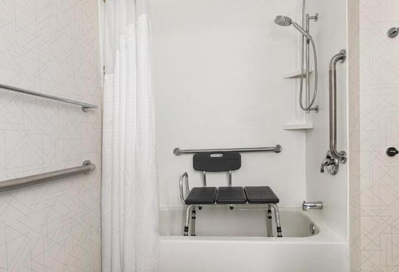장애인을 위한 스위트, Holiday Inn Express & Suites Greenville Downtown, An Ihg
