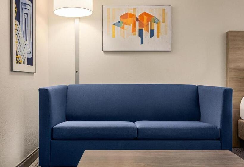 Люкс Адаптированный для Инвалидов, Holiday Inn Express & Suites Greenville Downtown, An Ihg