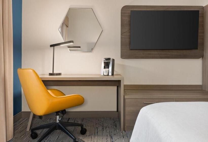 스탠다드 룸 킹사이즈 침대, Holiday Inn Express & Suites Greenville Downtown, An Ihg