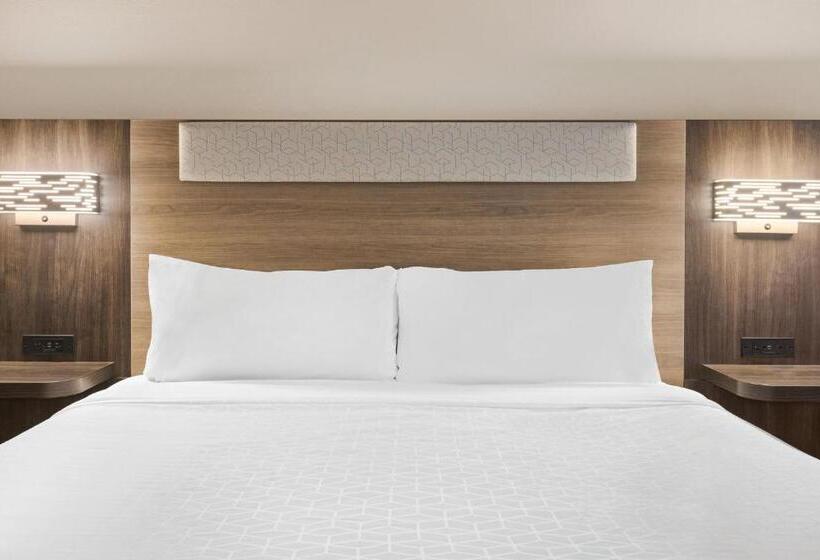 스탠다드 룸 킹사이즈 침대, Holiday Inn Express & Suites Greenville Downtown, An Ihg