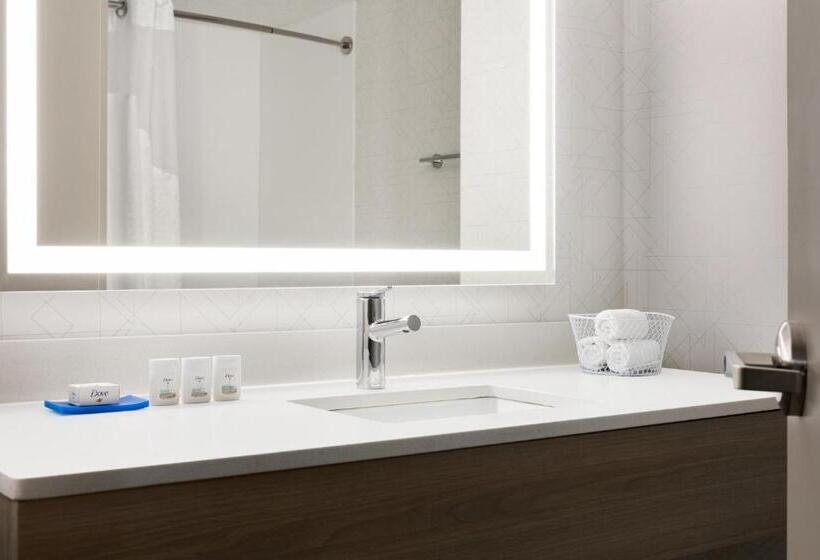 Номер Стандарт Адаптированный для Инвалидов, Holiday Inn Express & Suites Greenville Downtown, An Ihg