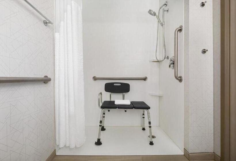 장애인을 위한 스탠다드 룸, Holiday Inn Express & Suites Greenville Downtown, An Ihg