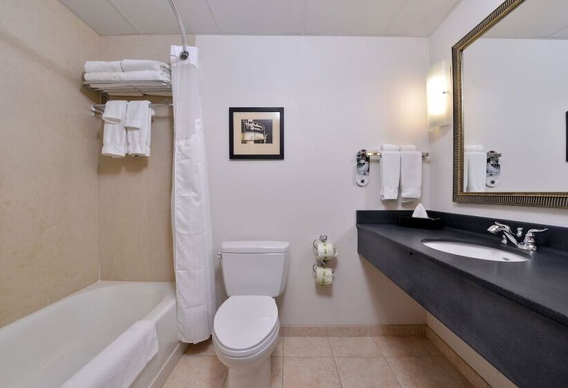 标准间, Holiday Inn Madison At The American Center, An Ihg