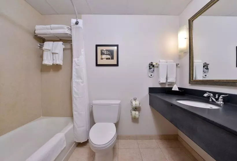 Standard-huone, Holiday Inn Madison At The American Center, An Ihg