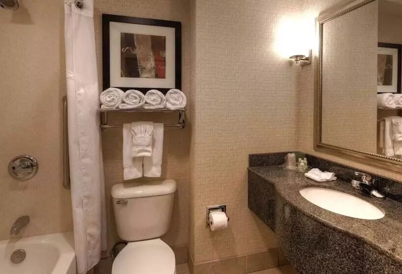 スタンダードルーム, Holiday Inn North Quail Springs, An Ihg