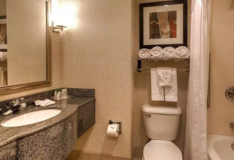 身障者適用スイートルーム, Holiday Inn North Quail Springs, An Ihg