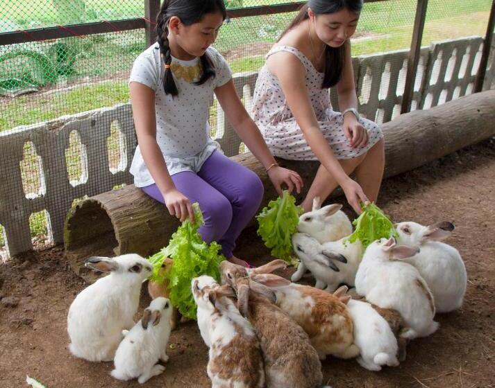 חדר דלוקס, Kimberly Tagaytay