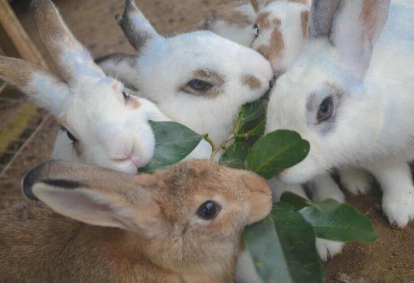 חדר משפחתי דלוקס, Kimberly Tagaytay