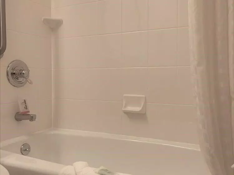 اتاق استاندارد با 2 تخت دوبل, Sleep Inn Long Island City  Manhattan View