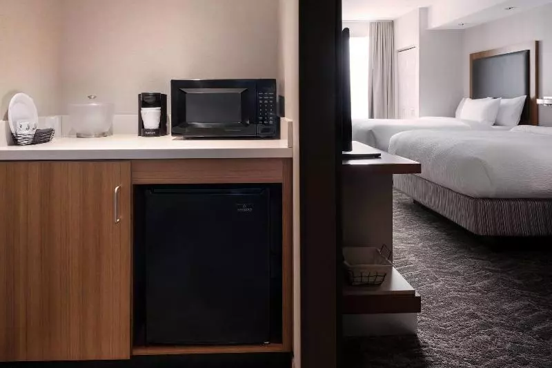 キングサイドベッドのスタンダードワンルーム, Springhill Suites By Marriott Syracuse Carrier Circle