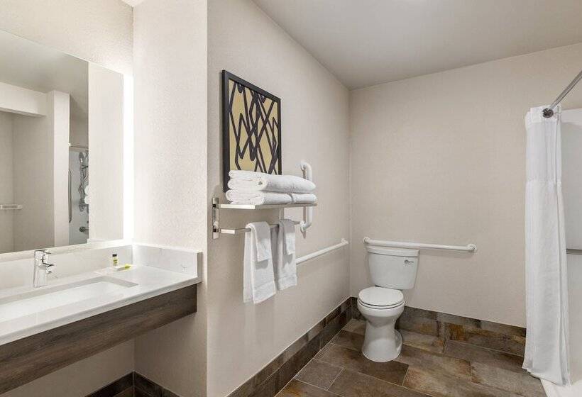 Suite Przystosowany dla Osób Niepełnosprawnych, Staybridge Suites Quantico Stafford, An Ihg