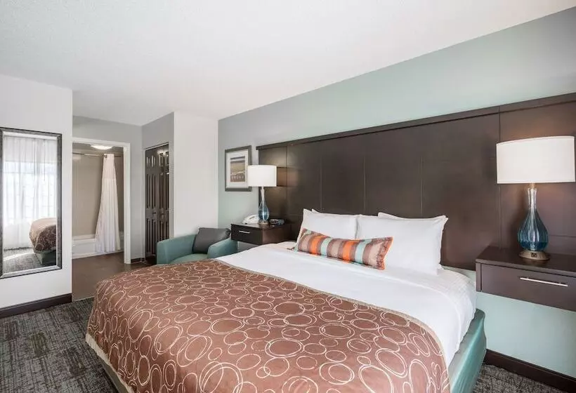 身障者適用スイートルーム, Staybridge Suites Wilmington Newark By Ihg