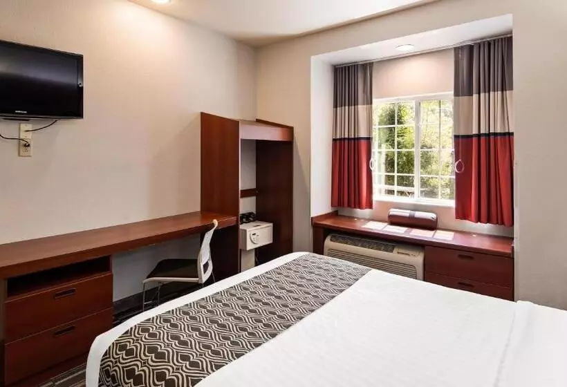 身障者適用クイーンサイズベッドルーム, Sonesta Essential Morgantown